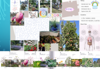 /album/pocity-a-pohoda/2403celk-png/