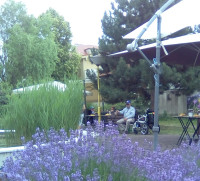 /album/fotogaleria-uvodna-stranka1/img-20250619-135245-jpg/